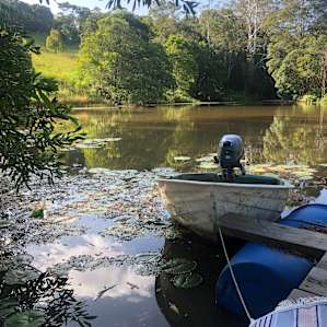 Bunya Ridge Nature Camp