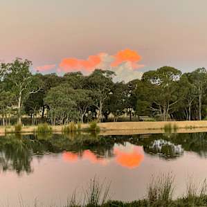 Boxgrove Campsites