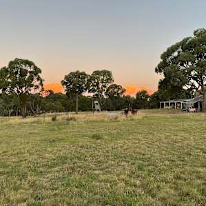 Boxgrove Campsites