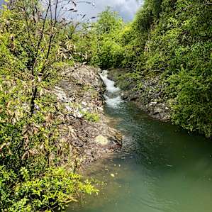 Fabulously cool creek on a hot summer day