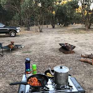 Lots of open space for fires, and trees to camp amongst.