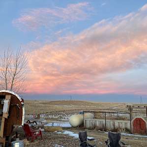 Home on the Range