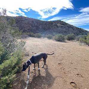 Our pup LOVED the smells :) and wanted to keep walking.