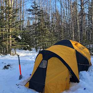 Nested in Nature - Group Campsites