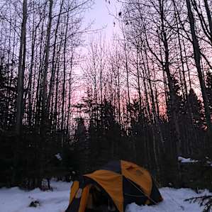 Nested in Nature - Group Campsites