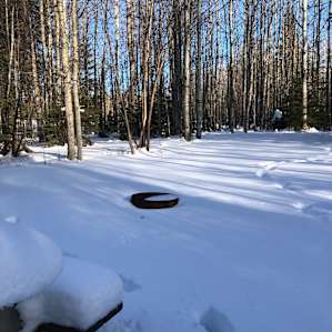 Nested in Nature - Group Campsites