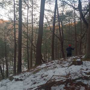 Apple Mountain Nature Retreat