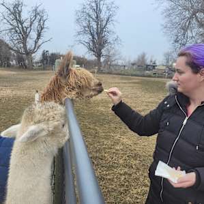 JenEric Alpaca Ranch