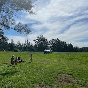 Bellinger River Camping