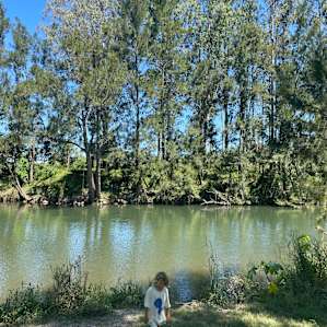 Bellinger River Camping