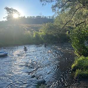 Omadale Brook Camp