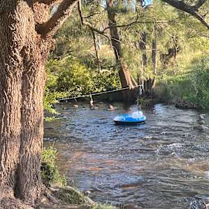 Omadale Brook Camp