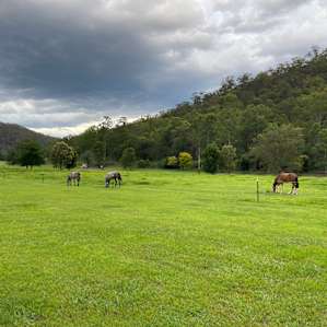Rivers Run Colo River Glamping