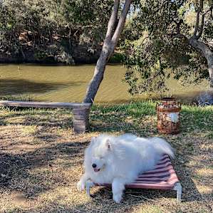 River View Farm Waterloo WA