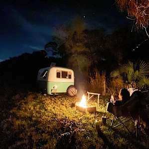 Camping under the palms and stars!