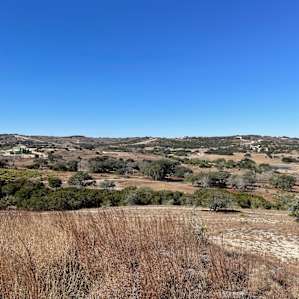 Blasingame Creek Camp