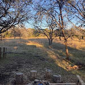 Secure trash (leave no trace), potable water provided