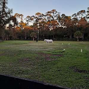 Lovely view from my tent