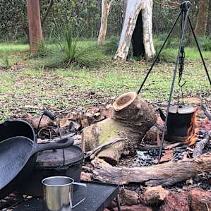 Ironbark Ranch - Free Range