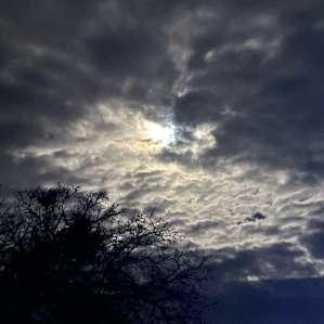 Full Moon, gorgeous night