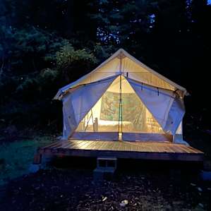 the Forest Fairy Glampy tent