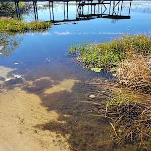 Ocala Forest Lakefront Paradise