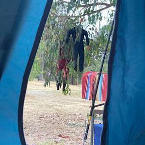 Brushwood Brook Camp