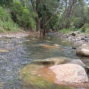 Bindarah Downs Bush Camp
