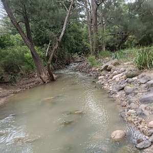 Bindarah Downs Bush Camp