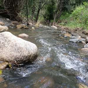 Bindarah Downs Bush Camp
