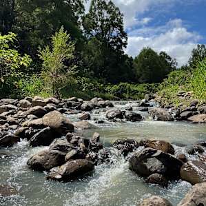 Mountain, Creek & Rainforest Camp