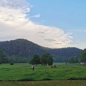 Rivers Run Colo River Glamping
