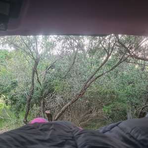 Brushwood Brook Camp