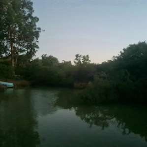 Brushwood Brook Camp