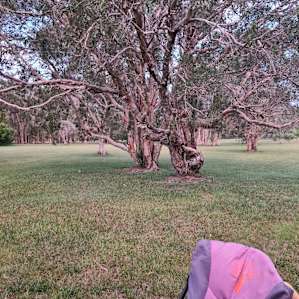 STAR HOST Pristine Acres near Noosa