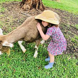 Animals were so friendly