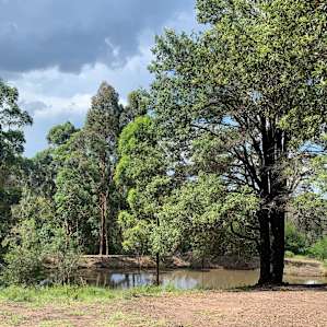 Tallowwood Farm