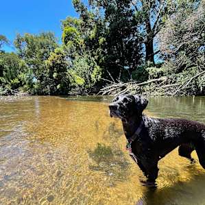 Thomson River Flat