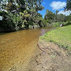Thomson River Flat