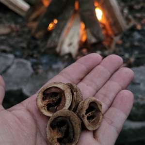 Running Springs River Retreat