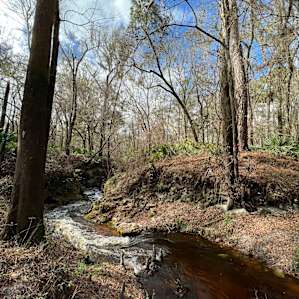 Suwannee River Glamping