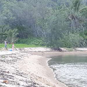 Beautiful Oak Beach