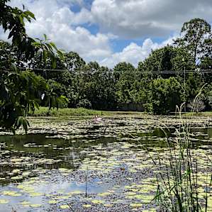 McCarthy Lake - Self Contained