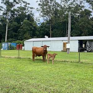Stanmore Farmstay