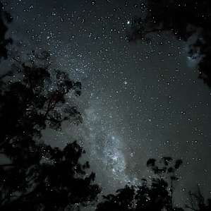 Thurra Bush Camping