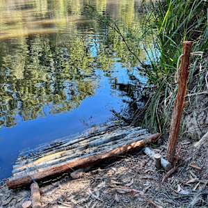 Thurra Bush Camping