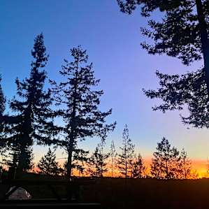 Cosmo's Camp: Campsite #3