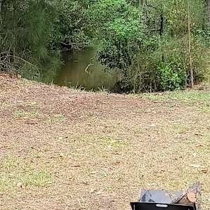 Actual Boat ramp, good gravel leading down to tributary which quickly moves into Wang Wauk proper