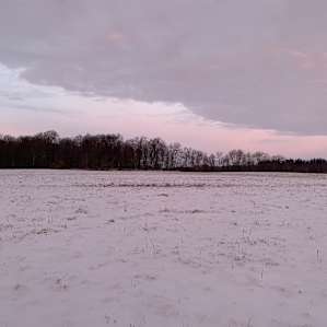 Sunrise in the fields