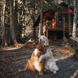Crystal Creek Cabin